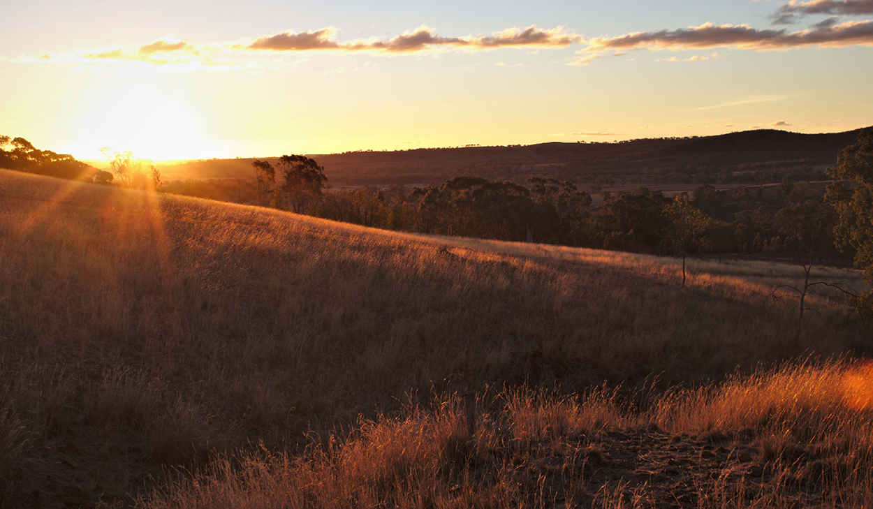 Addiction Treatment near Oklahoma City Country Road Recovery